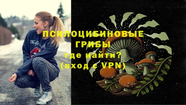 сатива Липки