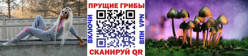 Псилоцибиновые грибы Psilocybe  Монино 